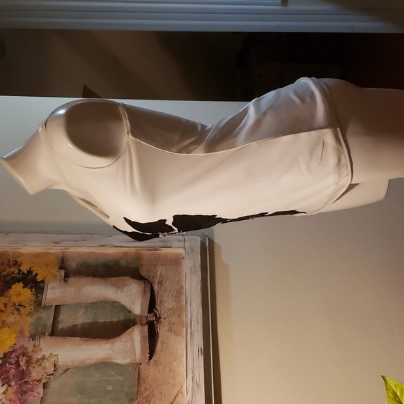 WHBM Tank - Picture 6 of 8